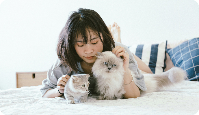 Una chica acaricia a dos gatos